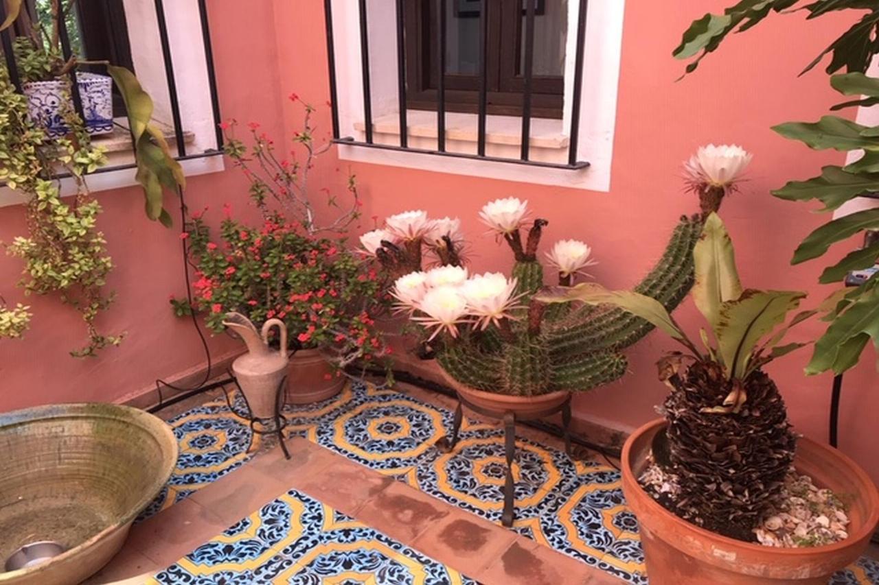 Benidoleig La Cortijera 빌라 외부 사진